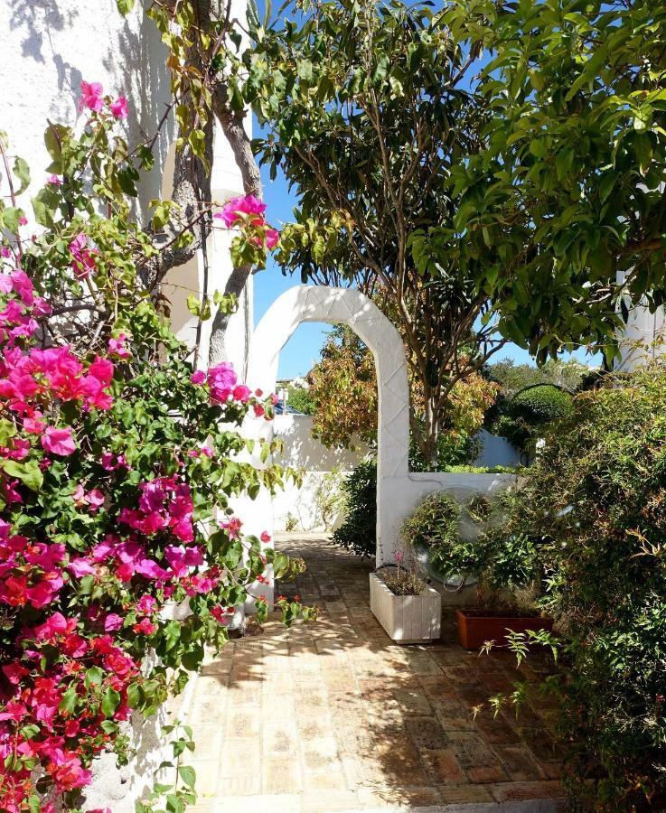 Buganvilia Praia Da Luz Ngoại thất bức ảnh